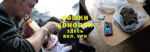 СК Ельня