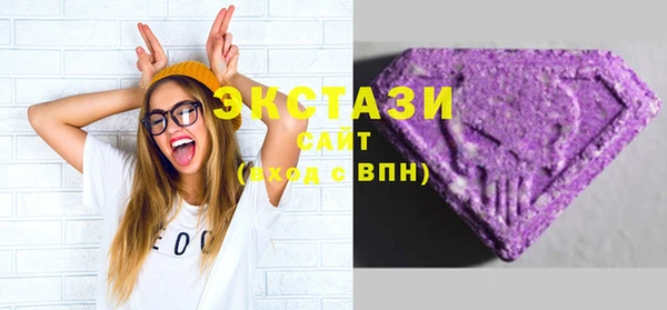 СК Ельня