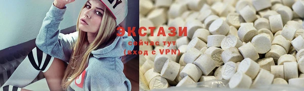 СК Ельня