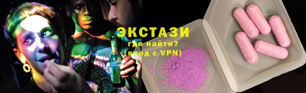 СК Ельня
