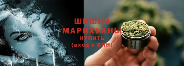 бошки Елабуга