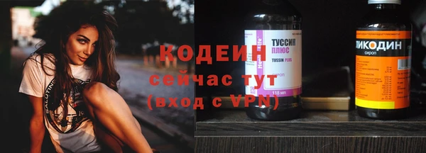 бошки Елабуга