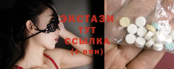 СК Ельня