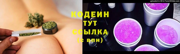 СК Ельня