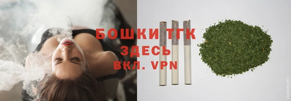 бошки Елабуга