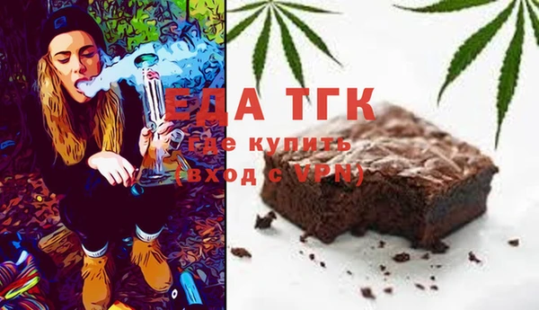 СК Ельня