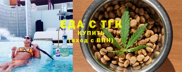 СК Ельня