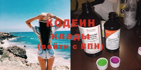 СК Ельня