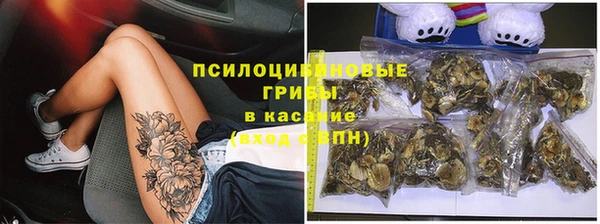 бошки Елабуга