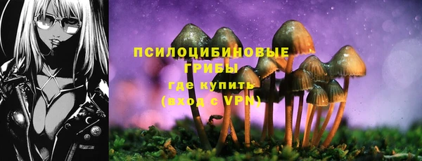 каннабис Елизово