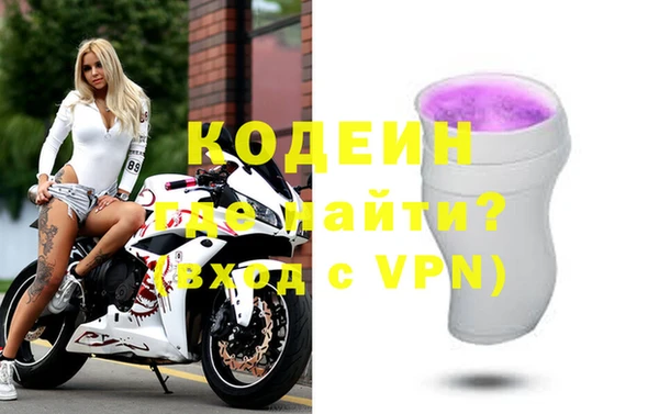 СК Ельня