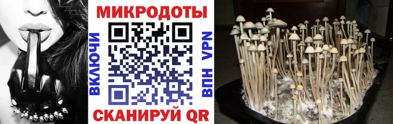 цена   Балашиха  Псилоцибиновые грибы мицелий 